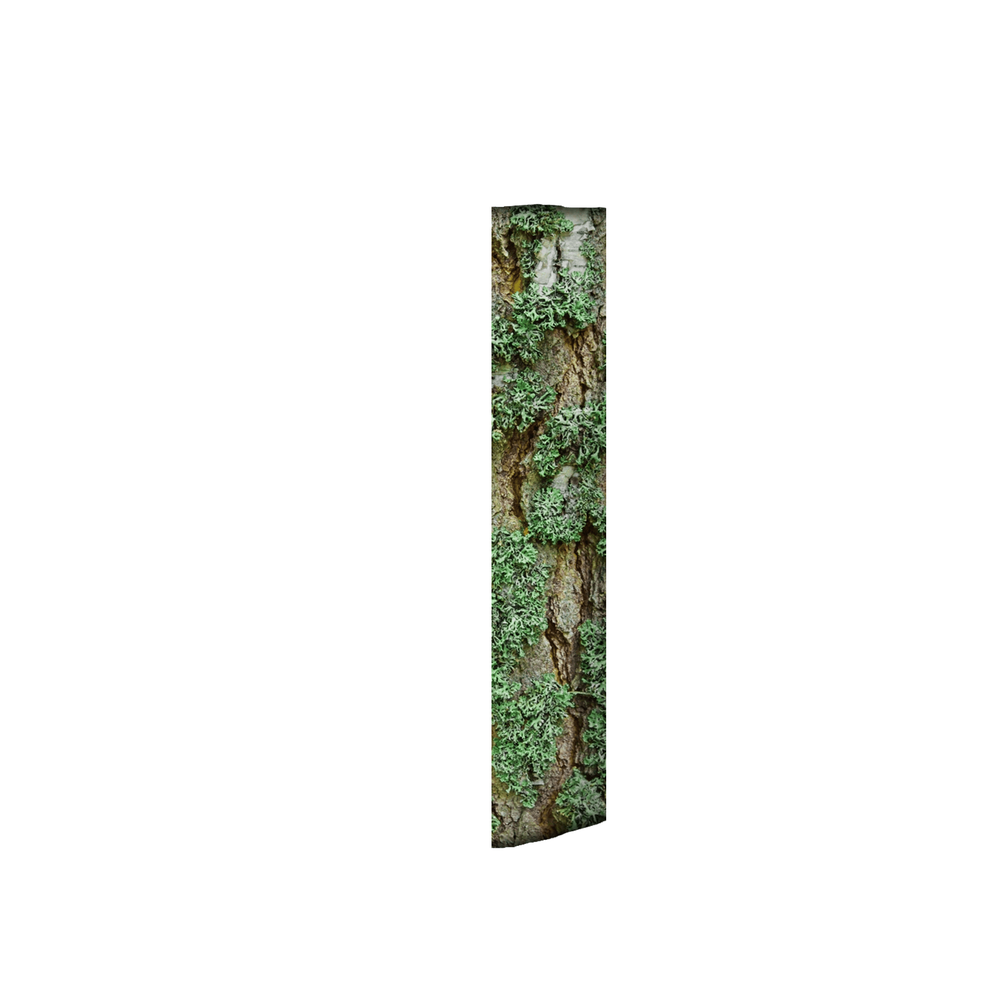 inscription 14f6b22375d3ed123d59d88be164f9acf8322596444c07e0f1f33b188bb55d76i0
