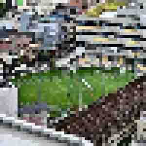 inscription 23d9ccecb0e7382dfe71e087fa4aef9e208aa14819a6dc74bb4890314d62de61i0
