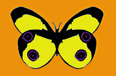 inscription 23f5b51f7dfc33a9905015b0533ef223d3499805c342a374a83552df95cb043fi0