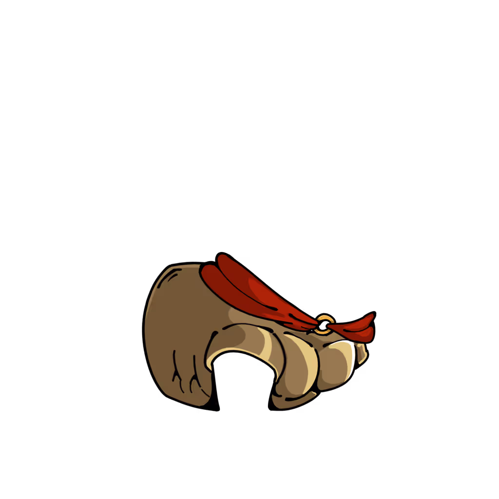 cloth