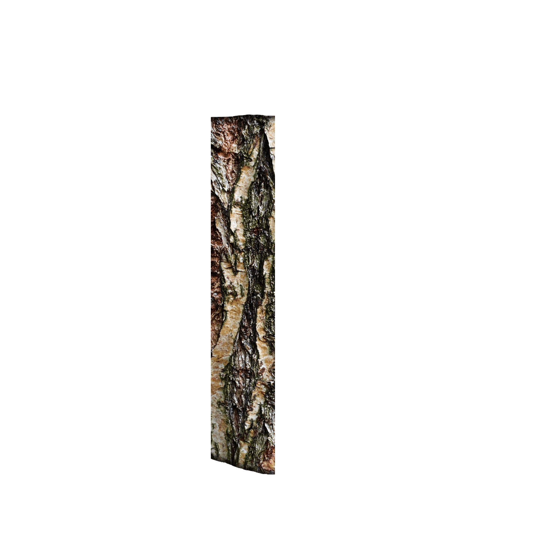 inscription 57fd8f33c00d2f2bc0f653be584eee78cbc9d87caee58d8547edd0cda687ad29i0